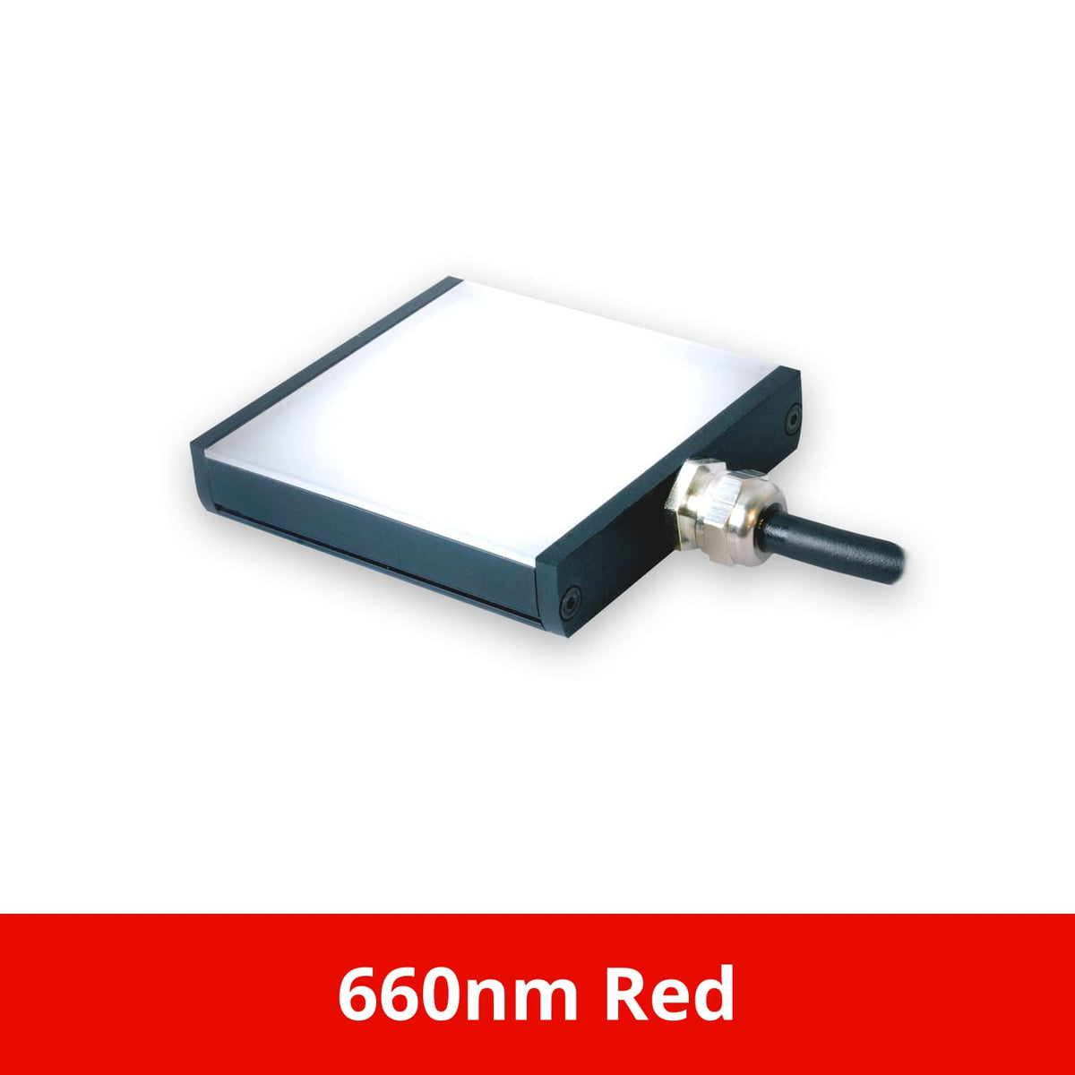 BL12814 product image
