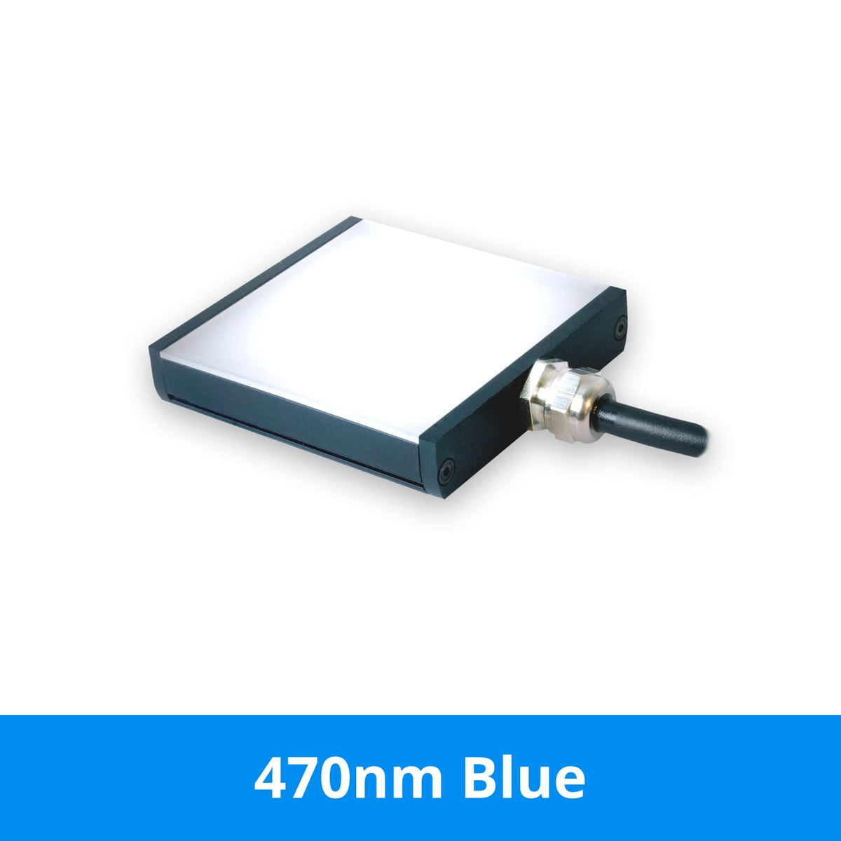 BL12814 product image