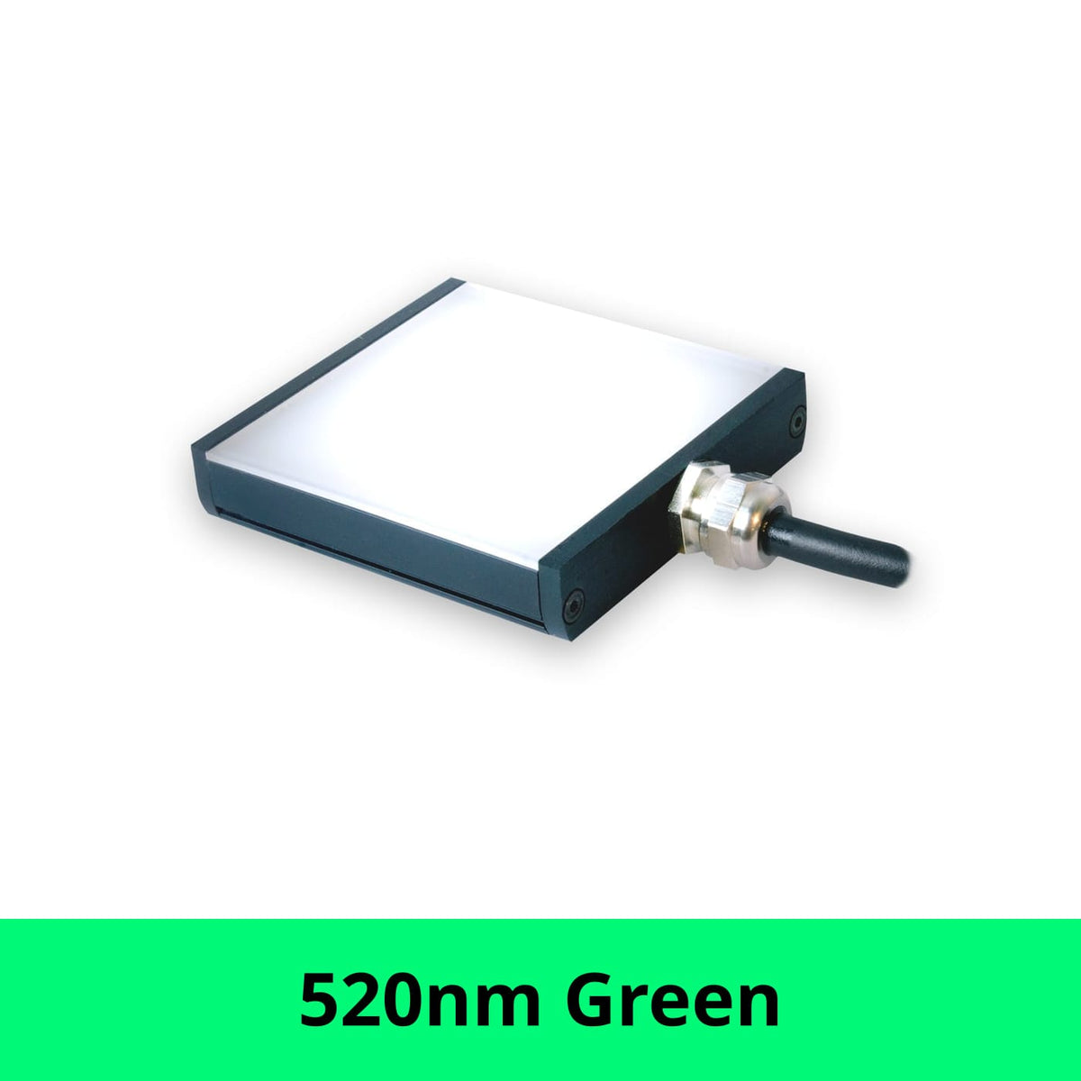 BL12814 product image